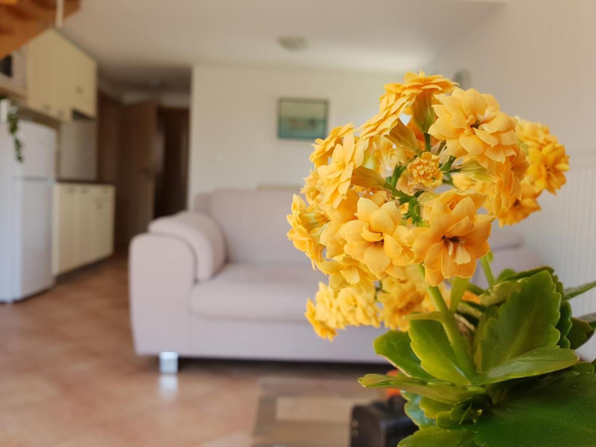 Apartments Skocic Vodice Extérieur photo