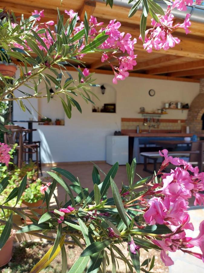 Apartments Skocic Vodice Extérieur photo